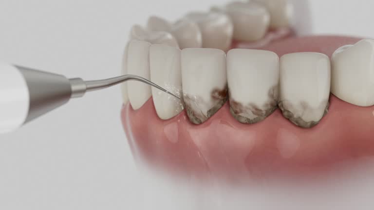 Reliable Dental contractor in Charlotte Park, FL by Dentist Open Now